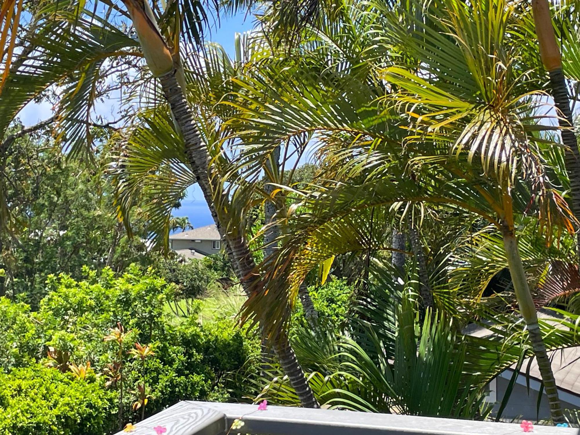 Puu Koa Palms Vacation Rental Haiku Екстериор снимка
